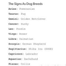 Zodaic Dog Breeds Zodiac Signs Aquarius Zodiac Signs Pisces Zodiac Star Signs
