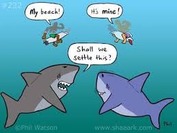 Shark Wars Sharks Funny Shark Week Funny Funny Shark Pictures