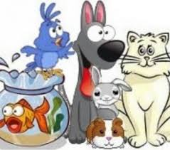 Dogsitting, garde de chat : Garde D Animaux A Votre Mon Domicile A Nimes Nimes 30000