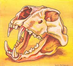Lion Skull Mini Painting Leah Hollrock Safariworks collection of hunting trophies for sale, including, skulls, impala, african animals, and euro skull mounts. lion skull mini painting