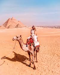 You will ride a horse or a camel at giza pyramids for 2 hours during the sun rising or the sunset time.you will also enjoy the view of the three pyramids. Pyramids Sphinx Camel Or Horse Riding Airbnb