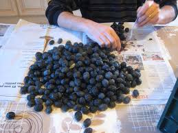 Olives Piquees La Cuisine De Christine
