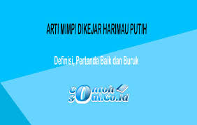 Ada baiknya jika anda fokus pada pekerjaan anda saat ini untuk bisa cepat menyelesaikannya. Arti Mimpi Dikejar Harimau Putih Jinak Dan Jadi Jadian