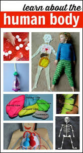 Human Body Activities For Kids Human Body Activities Body Preschool Preschool Science