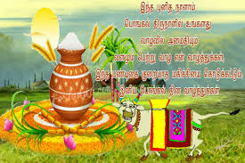इस बार यह त्यौहार मकर संक्रांति (makar sankranti). Pongal Festival Pictures Images Happy Pongal Wishes Happy Pongal Pongal Wishes In Tamil