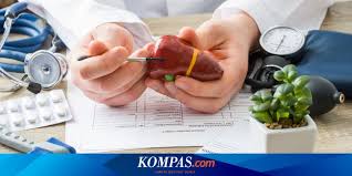 Pengobatan penyakit hepatitis a, sebenarnya tidak bisa anda lakukan. Penyakit Hepatitis A Masih Mewabah Begini 7 Langkah Pencegahannya Halaman All Kompas Com