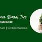 Christmas Bonsai Tree Workshop - Come and style a event image