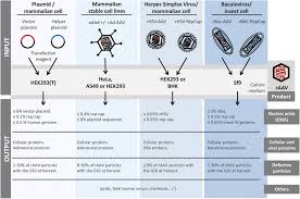 Image result for Silver Grey 1997 AAV