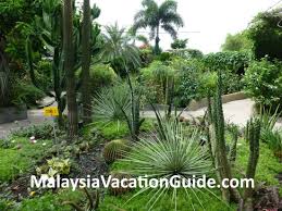 I actually went to look for it's location one day earlier so i wont be like a lost kitten but well, i still did in the end. 1 Utama Shopping Center