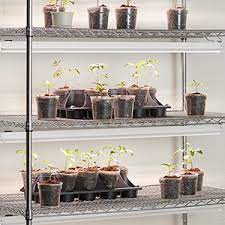 One wavelength of light that's highly contested in the growing. Amazon Com Ge Lighting 93101228 Led Grow Light 48 Inch 4ft Fixture Balanced Spectrum 48 In Patio Lawn Garden