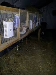 You could also use a brick a put sticks or bamboo in the holes all around it. Cheap Diy Rabbit Hay Feeders Rabbit Feeding Rabbit Hay Meat Rabbits