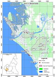 Image result for Rhabdophyllum affine