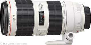 The Best Canon Indoor Sports Lens For 2021