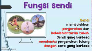 Tanpa adanya sendi tulang dan tubuh tidak bisa bergerak bebas. Sains Tahun 5 Kedudukan Sendi Dan Fungsinya Youtube