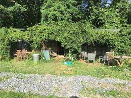 1600 x 1200 jpeg 718 кб. Grow A Kiwi Arbor For Shade And Fruit Mother Earth News