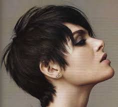15 Short Haircuts For Thick And Straight Hair In 2020 Short Hair Styles Longer Pixie Haircut Thick Hair Styles