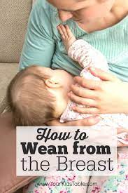 Stopping Breastfeeding The Complete Guide Your Kid S Table