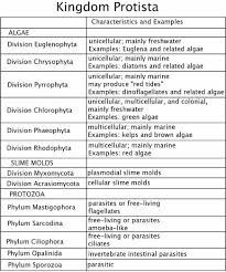 45 Correct Protist Classification Chart
