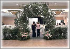 Can you rent plants for a wedding. Plant Rentals Rent Plants Tree Rental Wedding Decorations Events