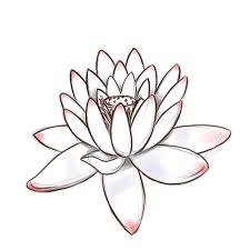 Because of this, in egyptian culture the lotus is a symbol of life's beginning and reincarnation. How To Draw A Lotus Flower Flower Drawing Drawings Art Instructions