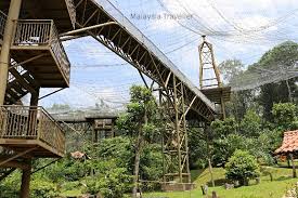 Update harga burung dunia kicaumania. Melaka Bird Park Ayer Keroh Melaka