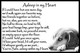 Beagle Memorial Magnetic Sympathy Card Pet Loss Bereavement Etsy Dog Poems Dogs Dying Quotes Dog Loss Quotes