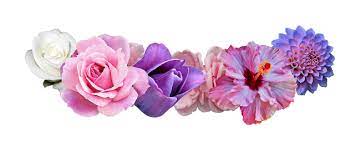 Coleccion De Gifs Coronas Flower Crown Tumblr Tumblr Flower Transparent Flowers