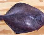 Petrale sole (whole)