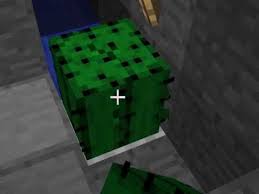 Automatic cactus farm tutorial hey guys, today i'll show you how to create an efficient, compact, fully automatic. Minecraft Placing Cactus On Any Block Youtube