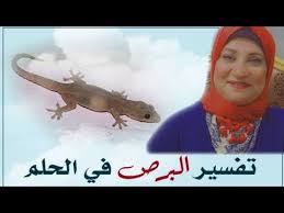 تفسير البرص في المنام الوزغ ابو بريص للمراءة المتزوجة والعزباء والحامل والرجل Youtube