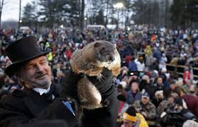 Its unusual name derives from the unami language which translates to town of the sandflies or town of the mosquitoes. Groundhog Day Punxsutawney Phil Punxsutawney Pa Visit Pa Great Outdoors