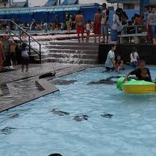 Lovely Family Time At The Natural Spring In Muncul Banyubiru Fresh Clean Cool Mountain Water So Lovely Family Time At The N Spring Nature Family Time Nature