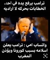 pin by moonlight on يضحك movie quotes funny fun quotes funny funny quotes