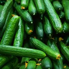 Image result for Cucumis cinereus