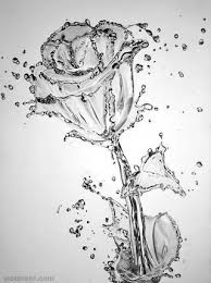 Pencil Drawings Of Flowers Cool Pencil Drawings Artwork Drawings