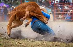 8 Seconds To Glory Champion Bull Riding