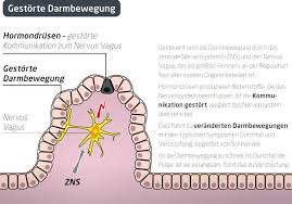 Reizdarm Wie Der Bauch Mit Psyche Und Stress Zusammenhangt