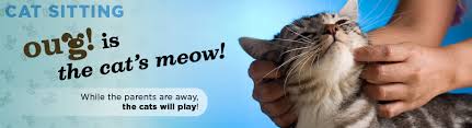 A pet sitter ensures that your pet is well cared for while you're gone and prevents emergency situations from happening. Denver Cat Sitting Services Out U Go Denver