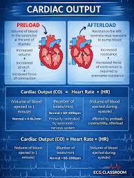 Image result for Cardiac Output