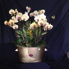 Hours may change under current circumstances Plants Delivery Tarzana Flowers And Designs By Gina