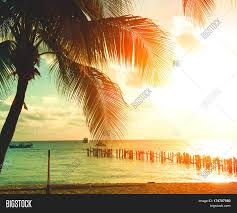 Swimming pool, internet, air conditioning, pets welcome, tv, washer & dryer, children welcome, parking, no smoking, heater bedrooms: Sunset Beach Palm Image Photo Free Trial Bigstock