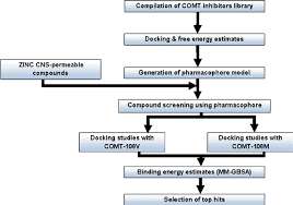 Flowchart Depicting The Methodology For Ligand Based Drug