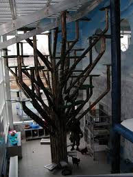 Literally A Cat Tree Angels For Animals In Canfield Ohio Cat Playground Cat Tree Cat Playground Outdoor