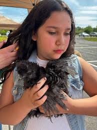 Finally the invitation we have all been waiting for, you saw it here first  people, Jodie marsh welcomes anyone to FRIPPS FARM! ( Maybe someone can  inform the RSPCA ) Now if