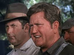 The Illustrated Waltons Episode Guide