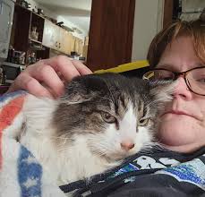 I got this for my Lilly, she crossed