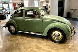 Image result for Medium Brown 1950 Beetle
