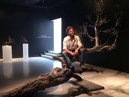 Image result for Limeum argute-carinatum