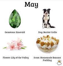 Themselves traditionally associated with various qualities) that just as there are alternatives with birthstones, there are also alternatives with birth flowers. Each Birth Month Has A Special Dog Scent Gem And Flower What S Yours Birth Month Birth Month Symbols Birth Month Personality
