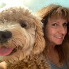 Going to the Dogs in Glen, New Hampshire